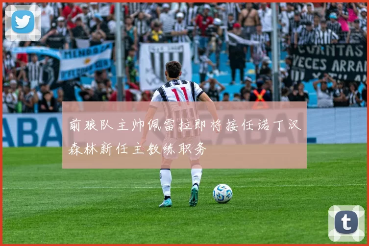 前狼队主帅佩雷拉即将接任诺丁汉森林新任主教练职务