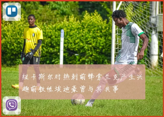 纽卡斯尔对热刺前锋索兰克产生兴趣前教练埃迪豪曾与其共事